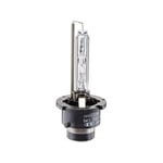 Xenon Bulb
