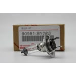 Low Beam Bulb