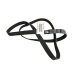 Engine Belt